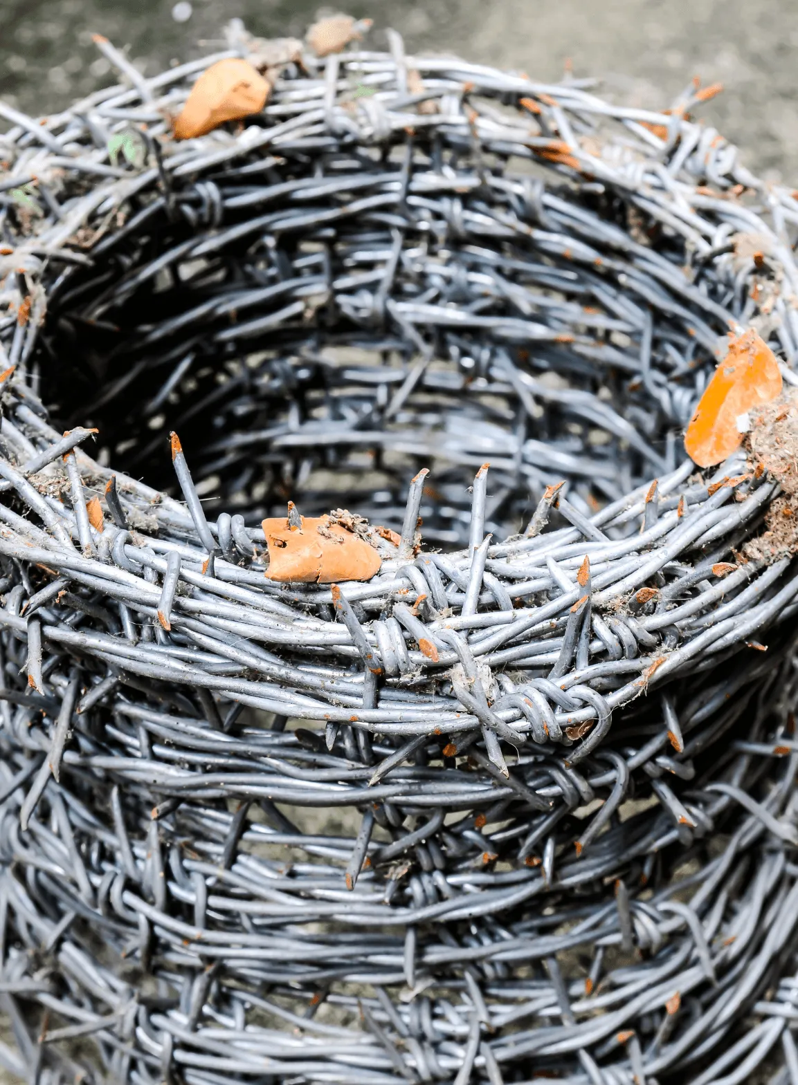 BARBED-WIRE-CONCERTINA-COILS