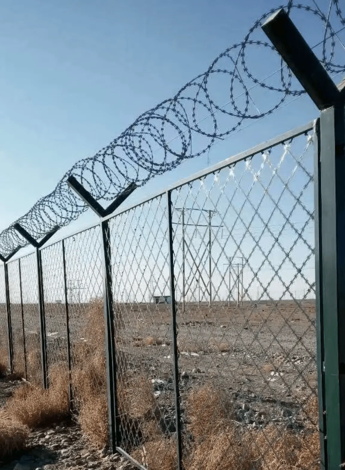 CHAIN-LINK-BORDER-FENCING